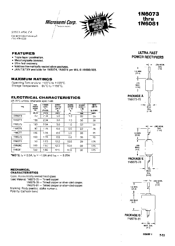 1N6080_21755.PDF Datasheet