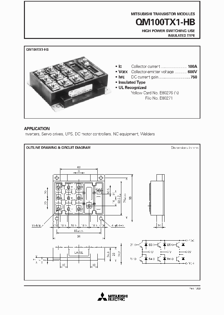 QM100_186795.PDF Datasheet