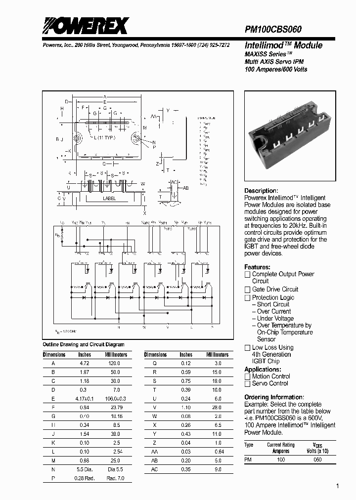 PM100CBS060_223939.PDF Datasheet