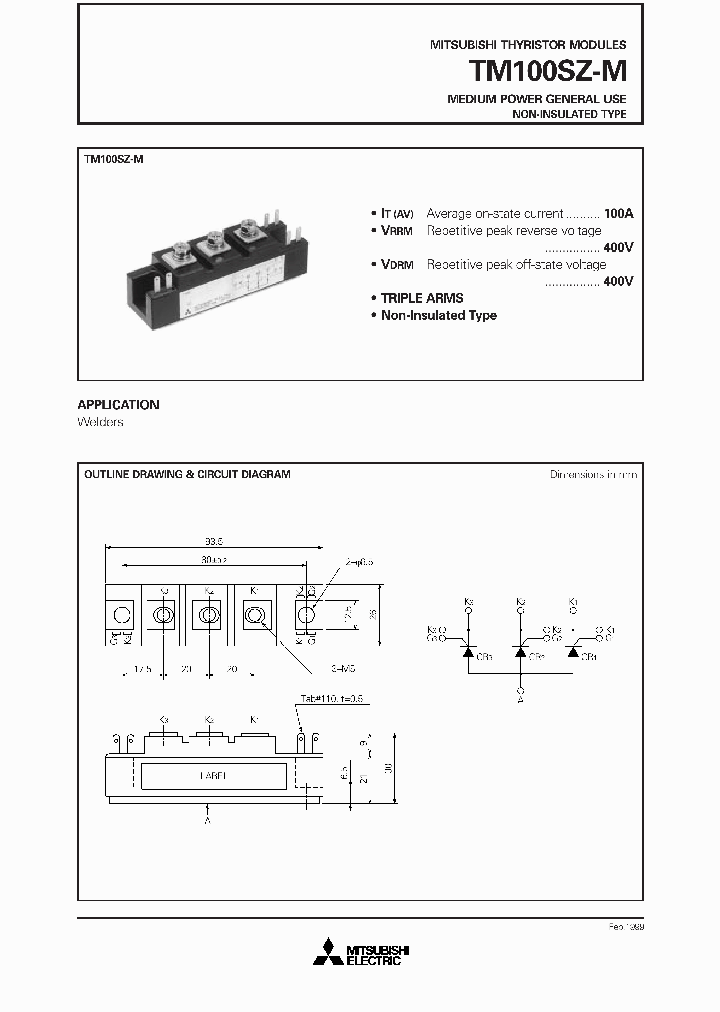 TM100_1067609.PDF Datasheet