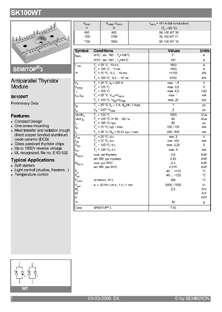 SK100WT0601_4131302.PDF Datasheet