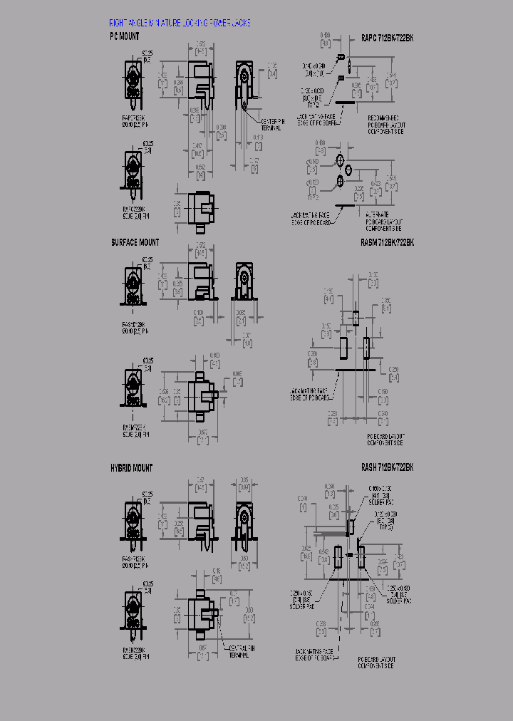 RAPC722BK_4807436.PDF Datasheet