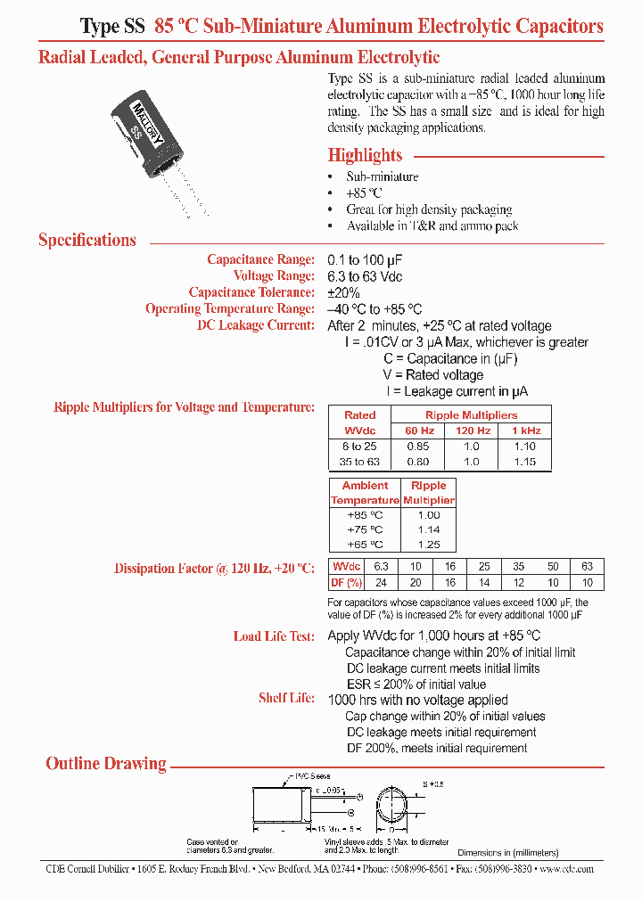 SS100M063S1_4554155.PDF Datasheet