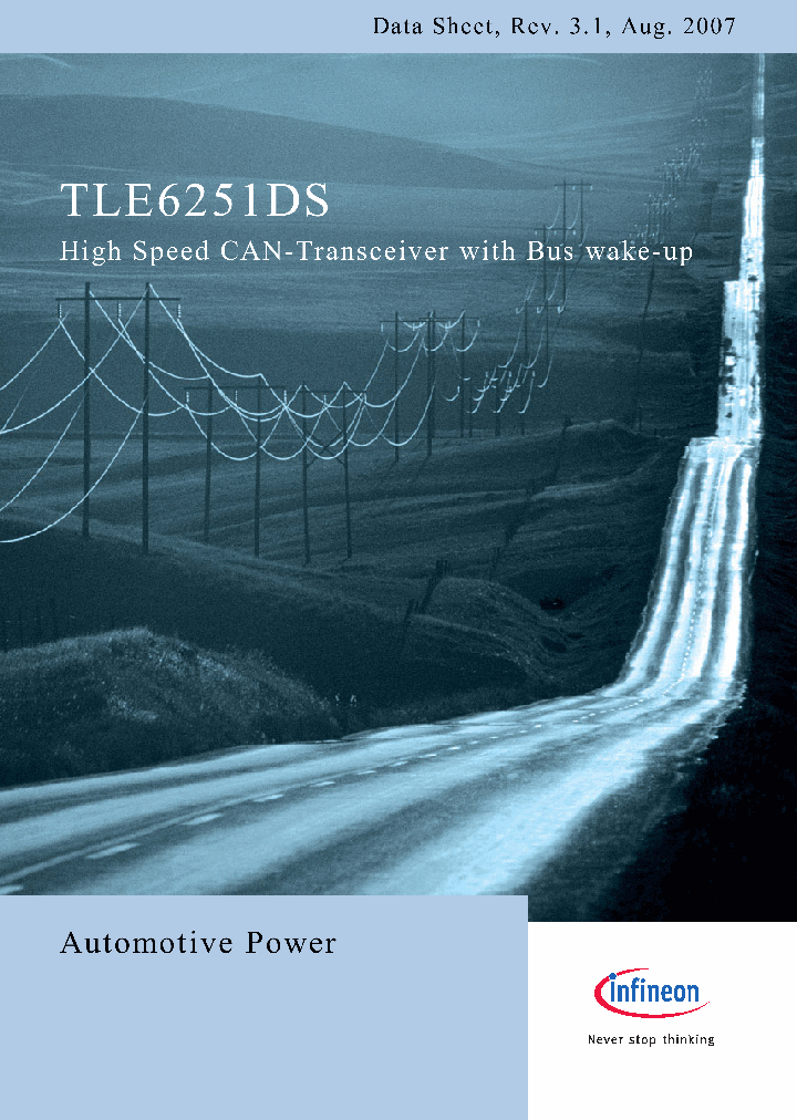 TLE6251DS_4994802.PDF Datasheet