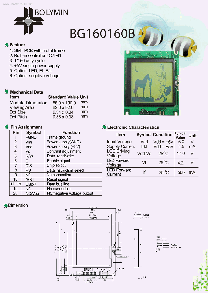 BG160160B_135304.PDF Datasheet