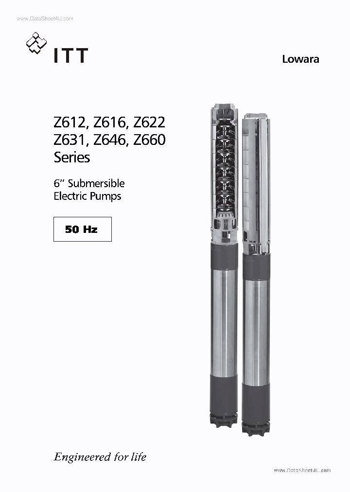 Z646_319899.PDF Datasheet