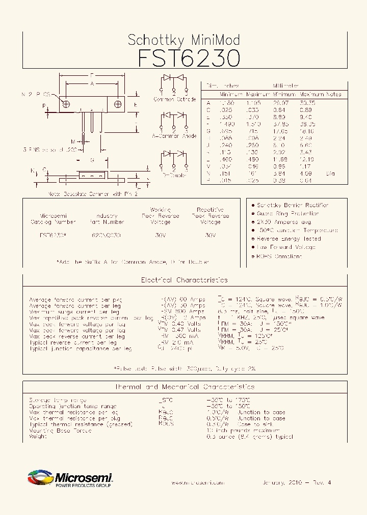 FST623010_1110153.PDF Datasheet