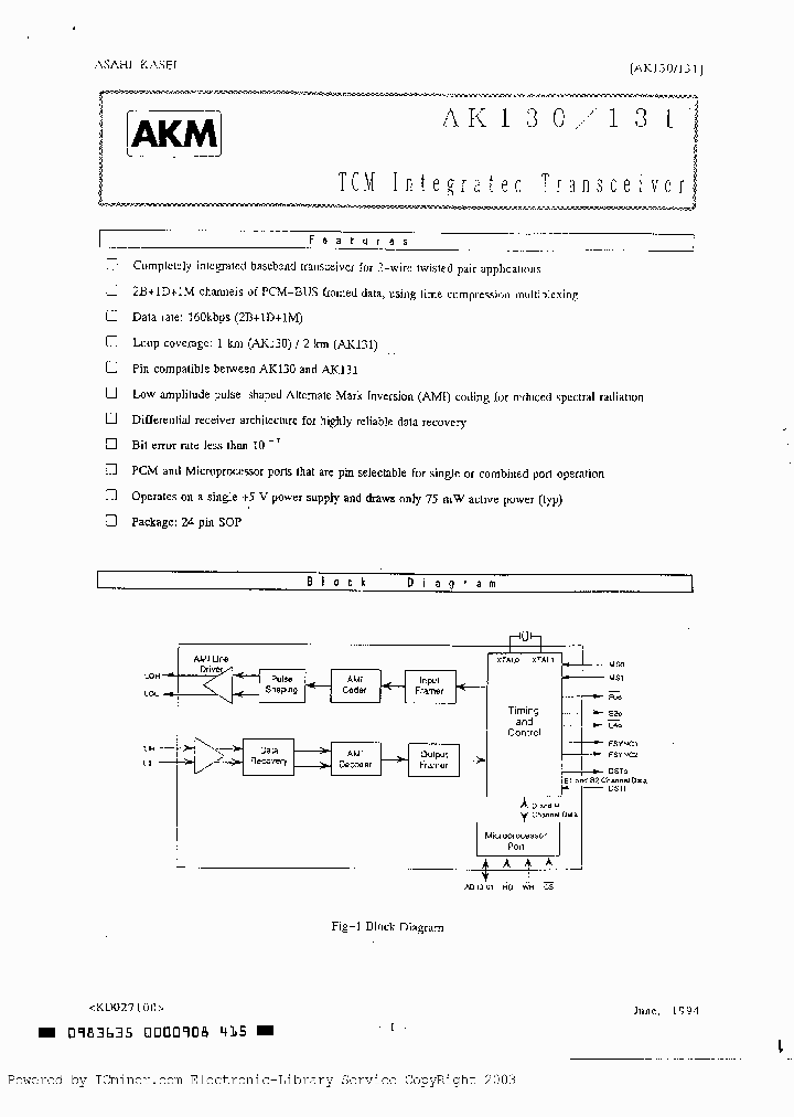 AK131VS_732312.PDF Datasheet