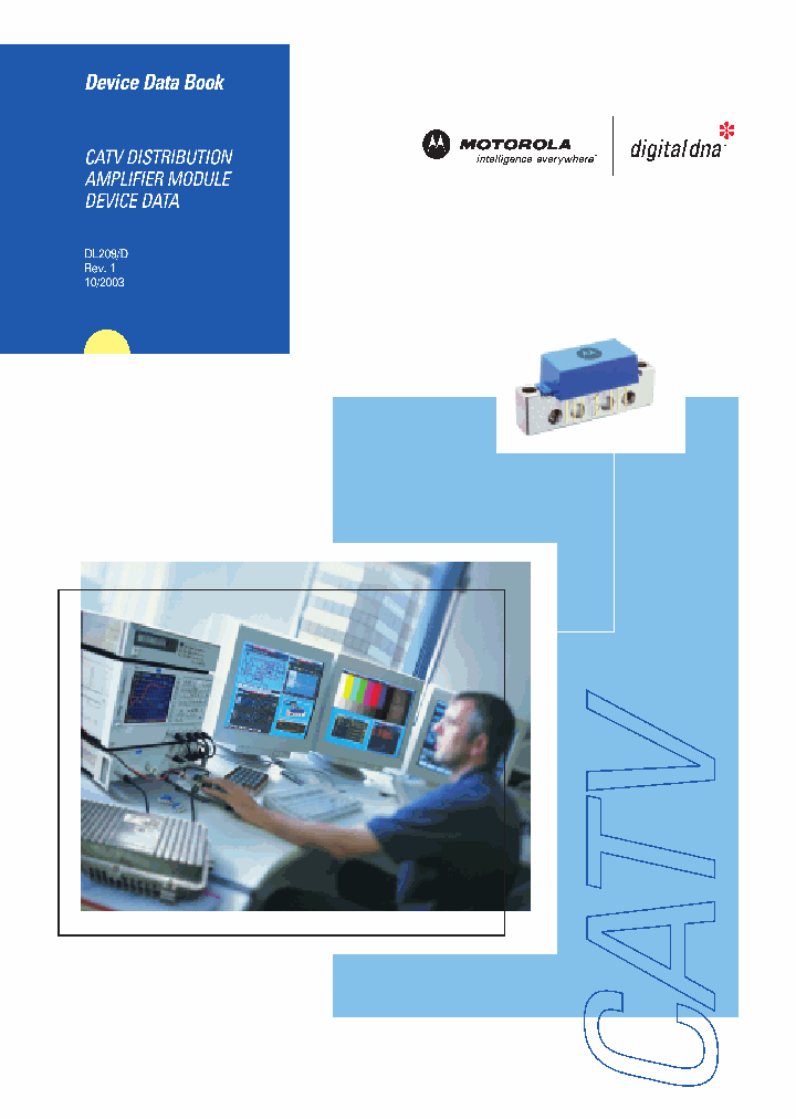 DL209_924668.PDF Datasheet