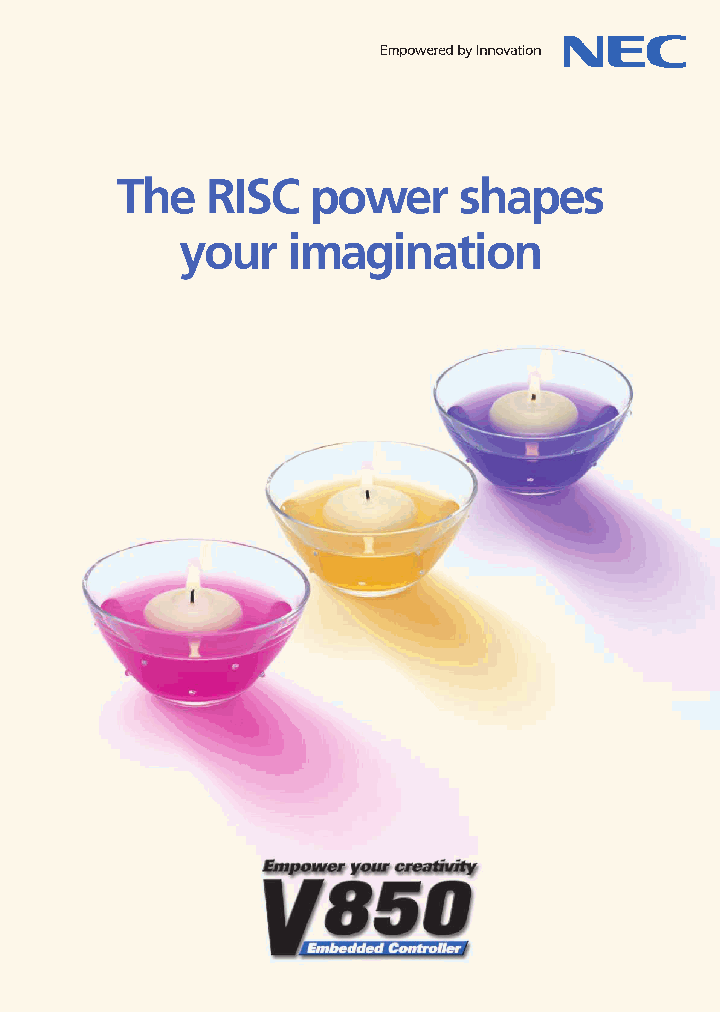 UPD703100A_2052110.PDF Datasheet