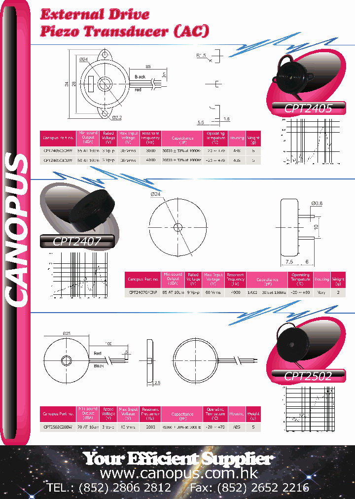 CPT2502_2780393.PDF Datasheet