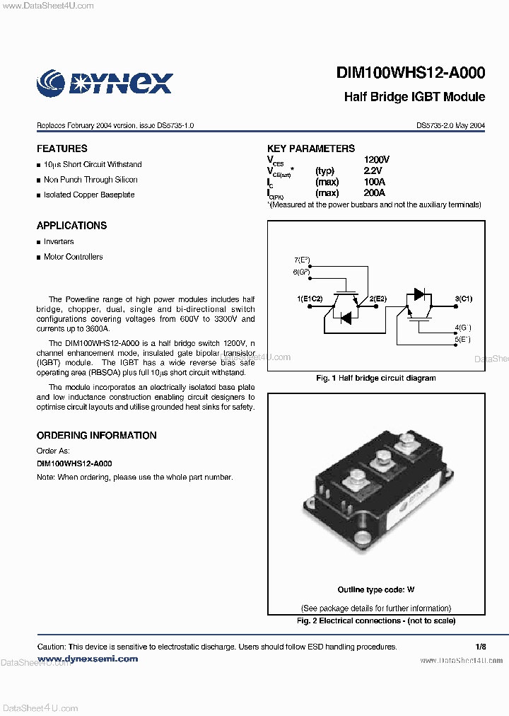DIM100WHS12-A000_3676245.PDF Datasheet