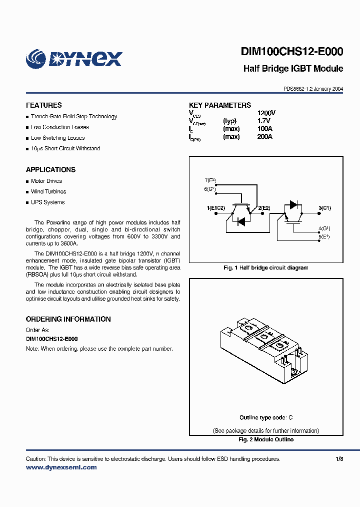 DIM100CHS12-E_3853621.PDF Datasheet