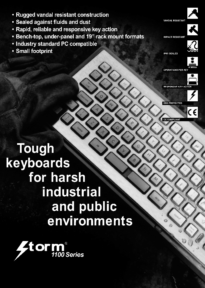 11RM0001_4548385.PDF Datasheet