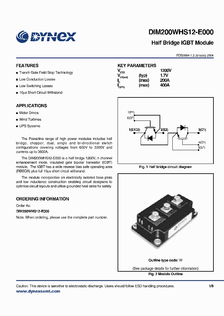 DIM200WHS12-E000_6262383.PDF Datasheet