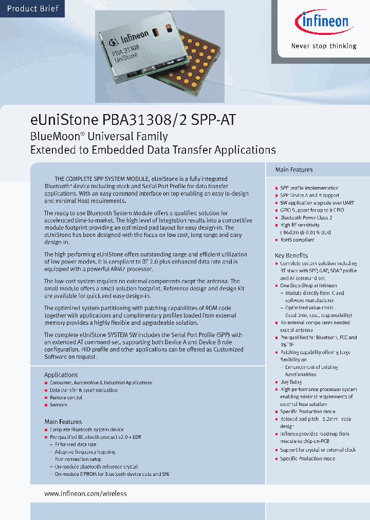 PBA313082V101_7643292.PDF Datasheet