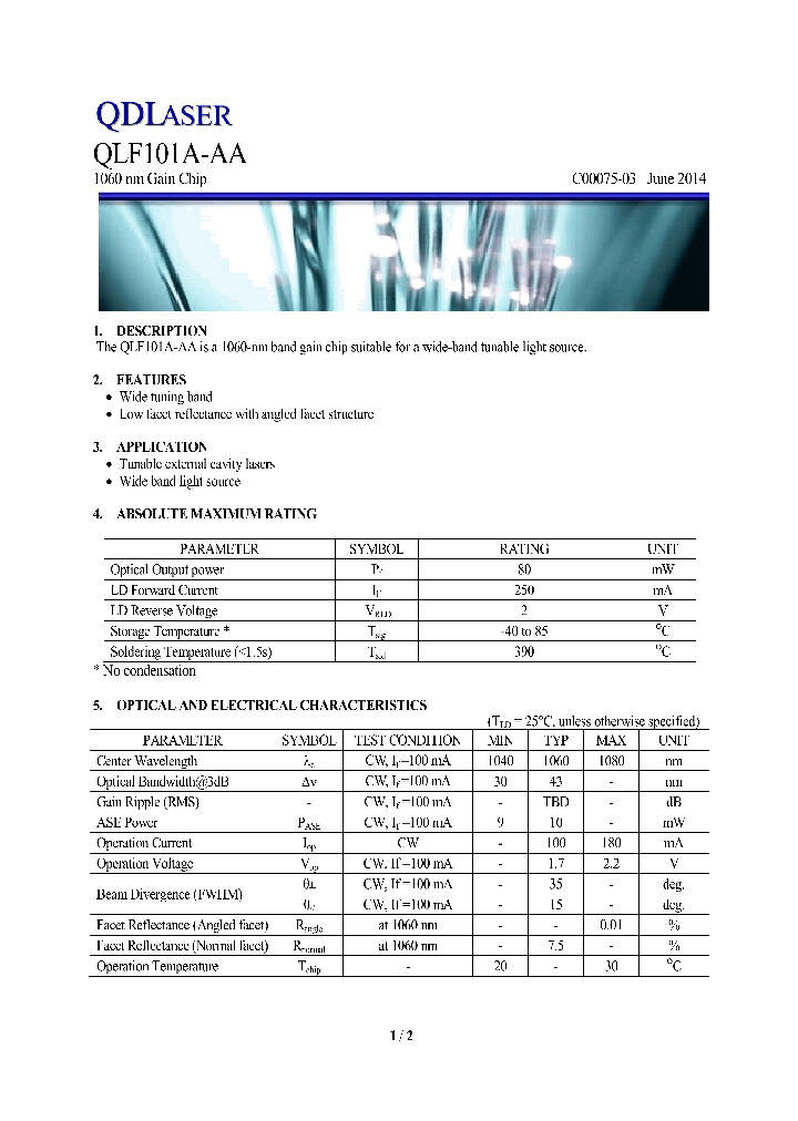 QLF101A-AA_7748610.PDF Datasheet