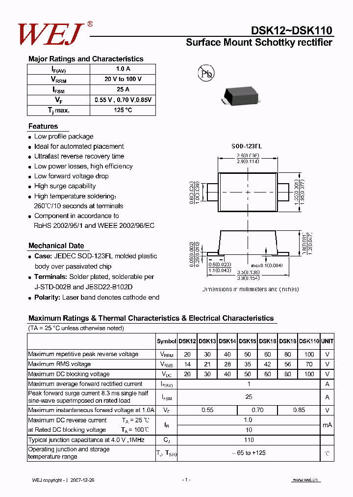 DSK16_8300853.PDF Datasheet