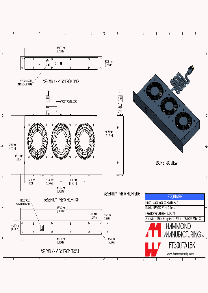 FT300TA1BK_8533073.PDF Datasheet