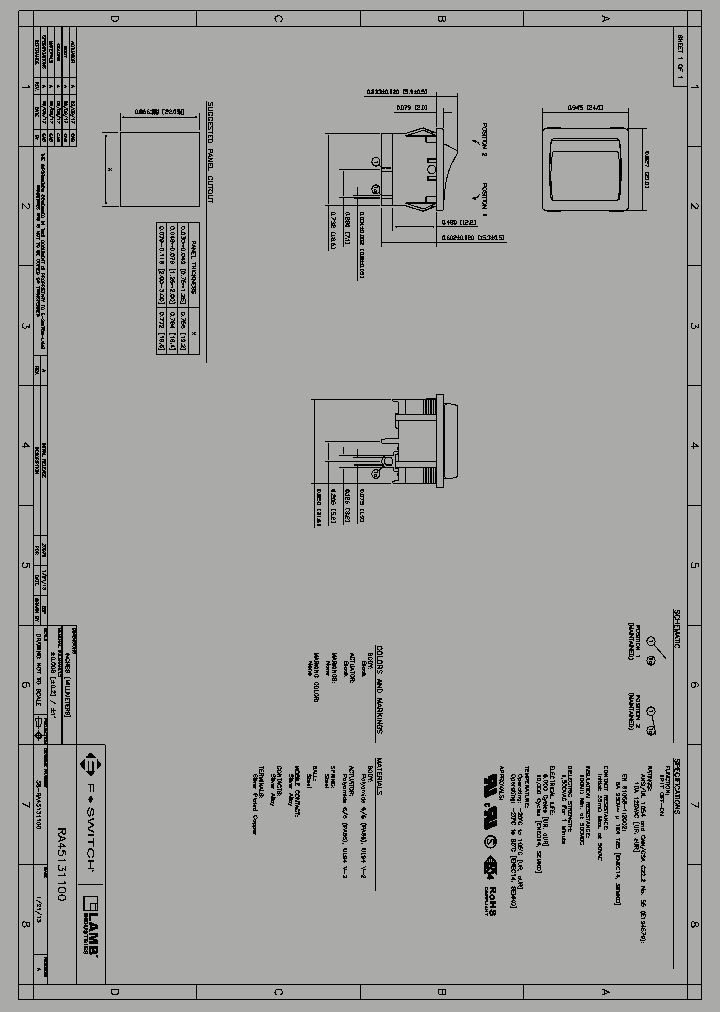 38-RA45131100_9087058.PDF Datasheet